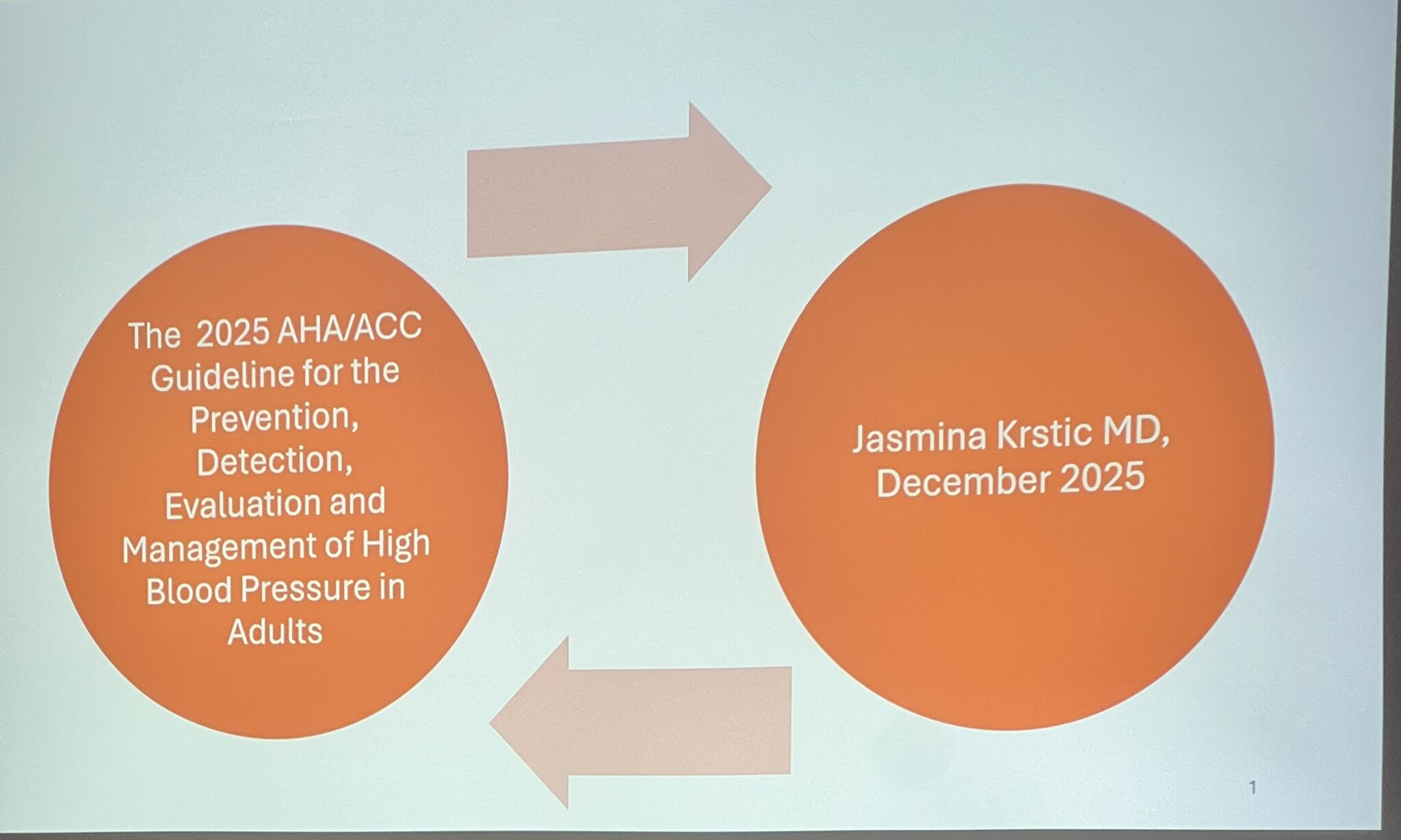 Dr. Jasmina Krstic speaking at the AYMS Scientific Meeting in New York